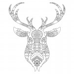 Spalvinimo drobė "Coloring deer" Spalvinimo drobės | Colorbee.lt